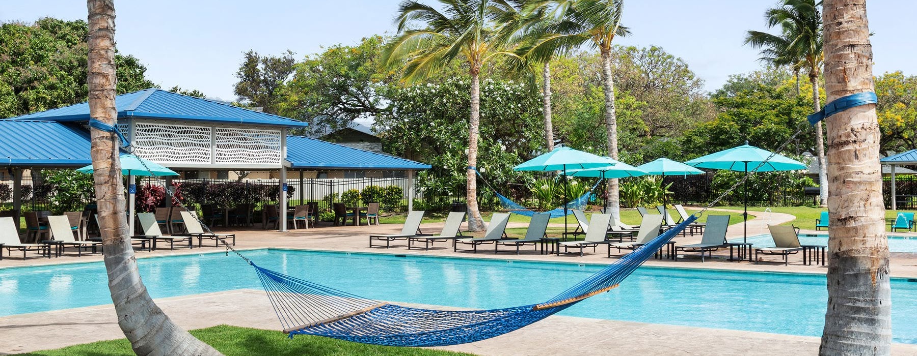 poolside hammock between palm trees