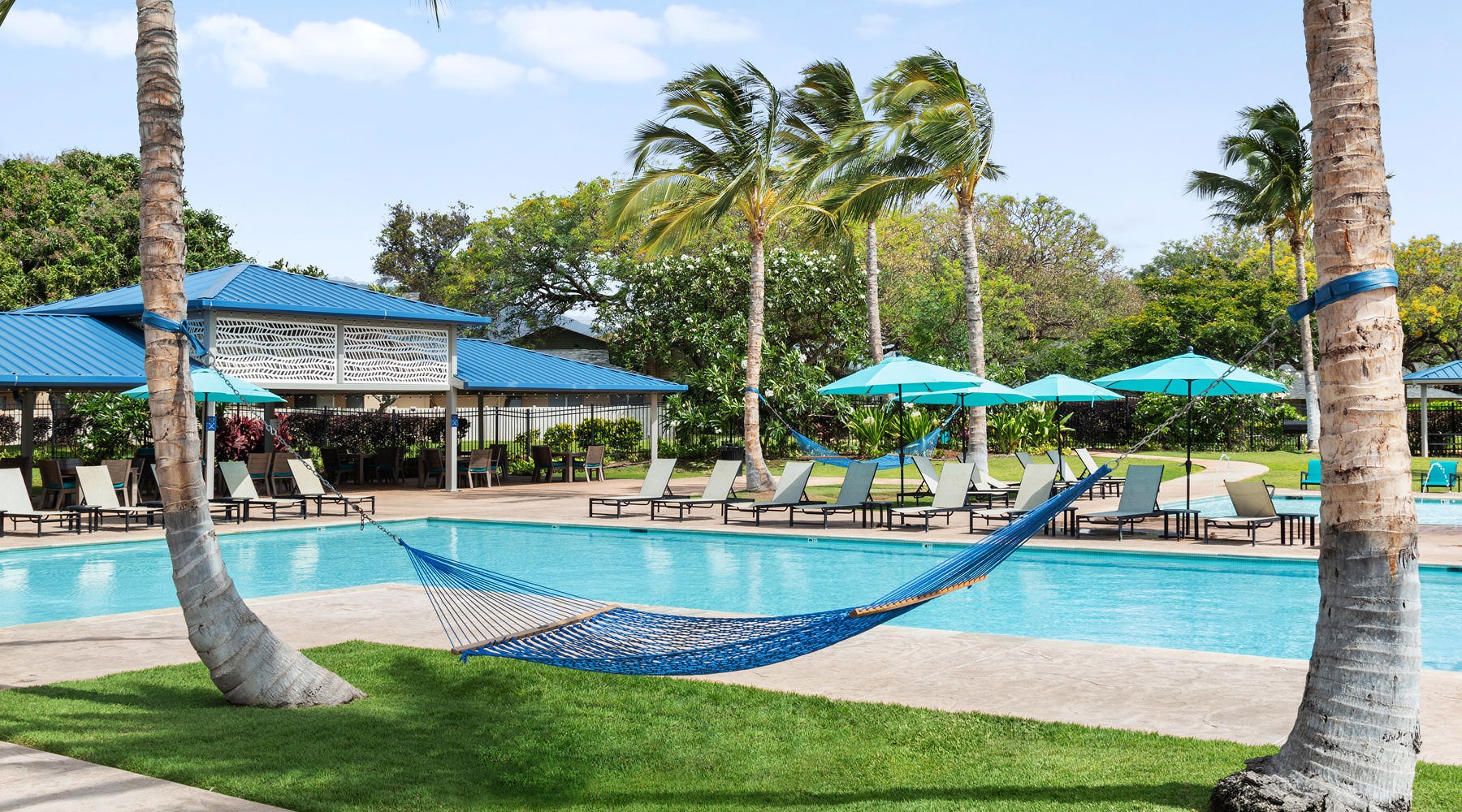 poolside hammock between palm trees